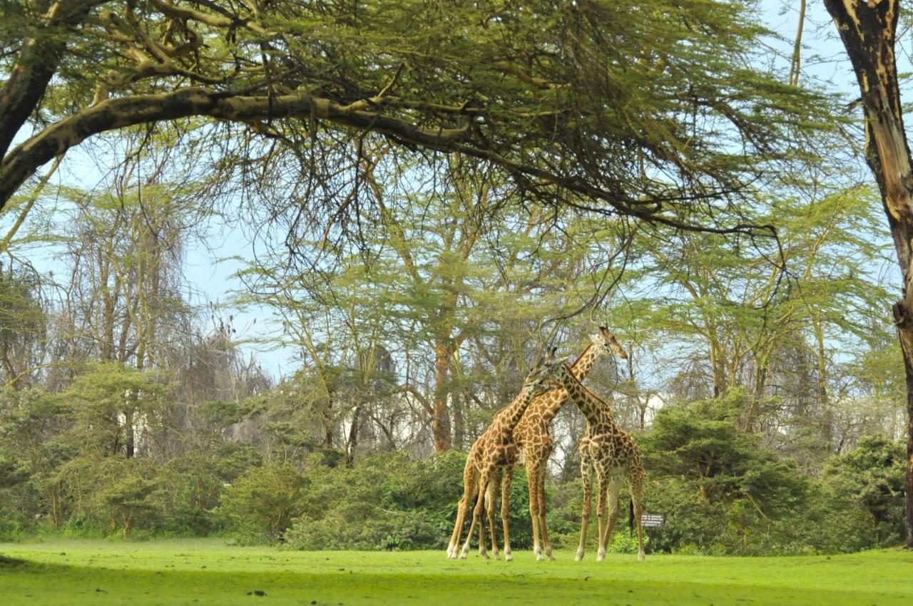 Lake Naivasha Sopa Resort ภายนอก รูปภาพ